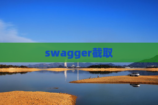 swagger截取